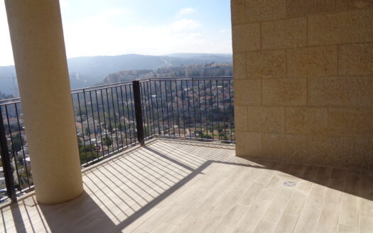 Mini penthouse kiryat yovel
